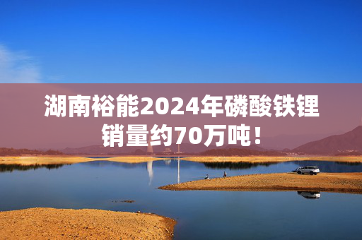 湖南裕能2024年磷酸铁锂销量约70万吨！