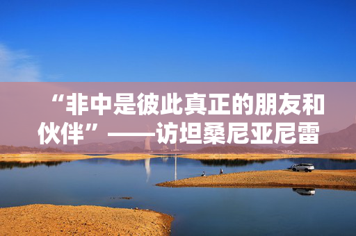 “非中是彼此真正的朋友和伙伴”——访坦桑尼亚尼雷尔基金会董事会主席布提库