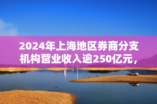 2024年上海地区券商分支机构营业收入逾250亿元，同比上升2.6%