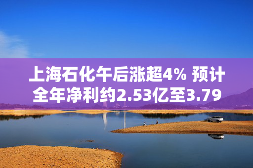 上海石化午后涨超4% 预计全年净利约2.53亿至3.79亿元