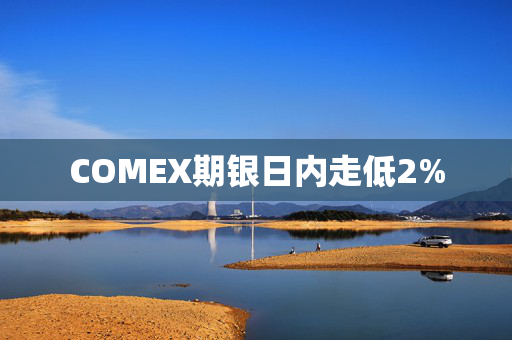 COMEX期银日内走低2%