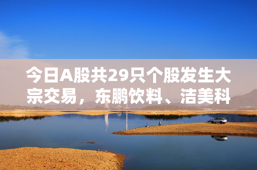 今日A股共29只个股发生大宗交易，东鹏饮料、洁美科技、百奥泰成交额居前