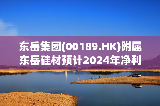 东岳集团(00189.HK)附属东岳硅材预计2024年净利同比增长大119.18%至122.87%