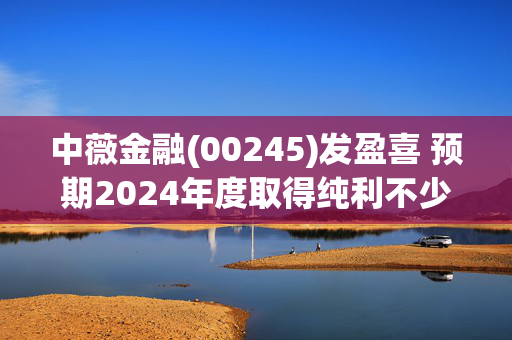 中薇金融(00245)发盈喜 预期2024年度取得纯利不少于2.2亿港元 同比扭亏为盈