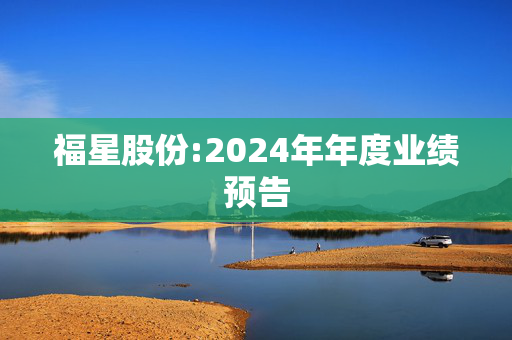 福星股份:2024年年度业绩预告