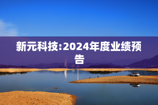 新元科技:2024年度业绩预告