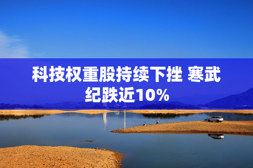 科技权重股持续下挫 寒武纪跌近10%