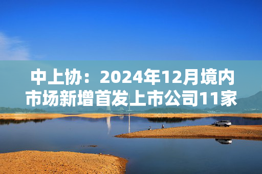 中上协：2024年12月境内市场新增首发上市公司11家，首发募资总额93.05亿元