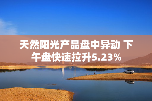 天然阳光产品盘中异动 下午盘快速拉升5.23%