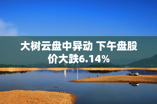 大树云盘中异动 下午盘股价大跌6.14%