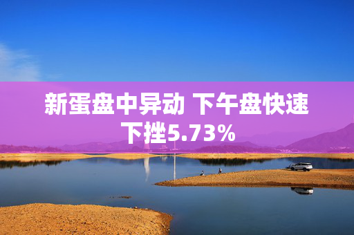 新蛋盘中异动 下午盘快速下挫5.73%