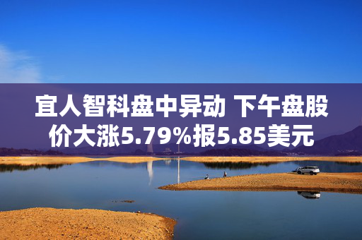 宜人智科盘中异动 下午盘股价大涨5.79%报5.85美元