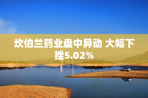 坎伯兰药业盘中异动 大幅下挫5.02%