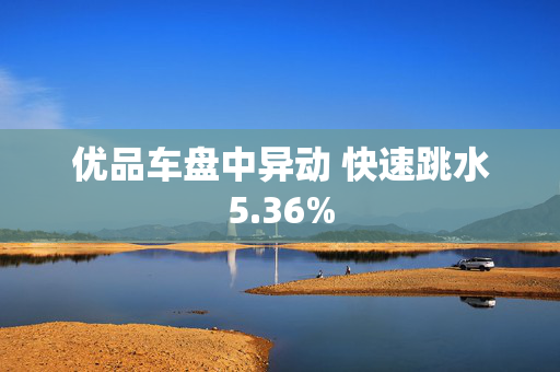 优品车盘中异动 快速跳水5.36%