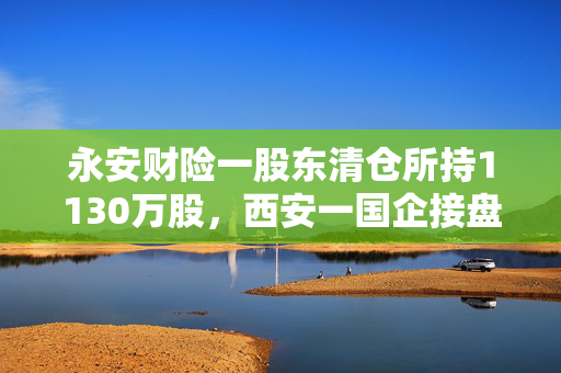 永安财险一股东清仓所持1130万股，西安一国企接盘