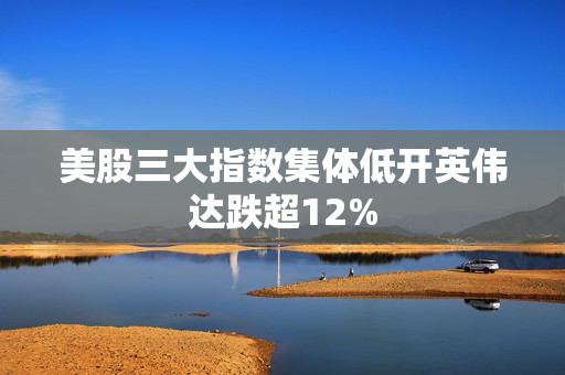 美股三大指数集体低开英伟达跌超12%