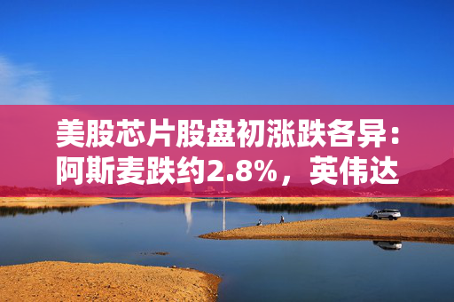 美股芯片股盘初涨跌各异：阿斯麦跌约2.8%，英伟达涨0.5%