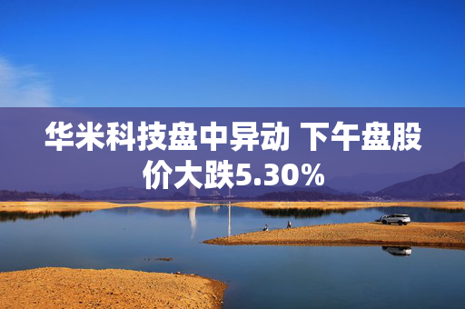 华米科技盘中异动 下午盘股价大跌5.30%