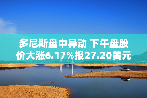 多尼斯盘中异动 下午盘股价大涨6.17%报27.20美元