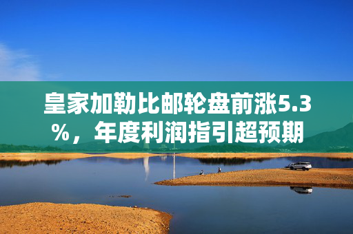 皇家加勒比邮轮盘前涨5.3%，年度利润指引超预期