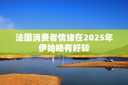 法国消费者情绪在2025年伊始略有好转