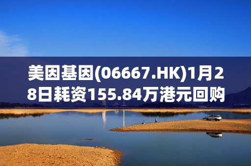 美因基因(06667.HK)1月28日耗资155.84万港元回购17万股