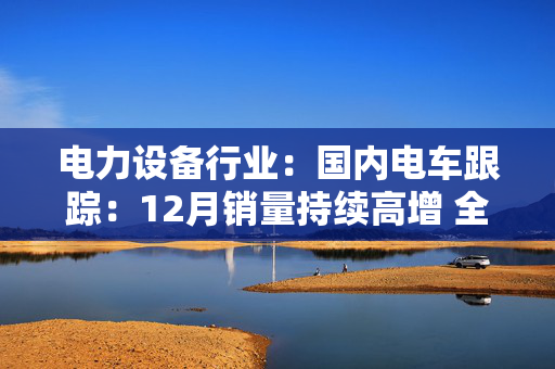 电力设备行业：国内电车跟踪：12月销量持续高增 全年销量1286万辆 预计2025年销量1560万辆