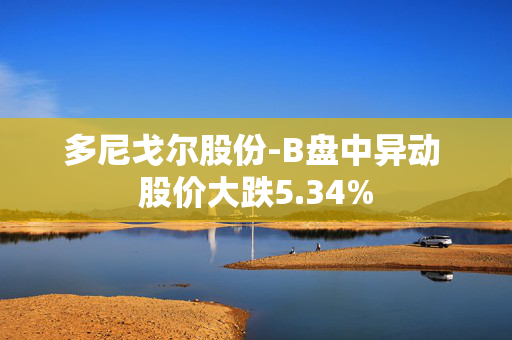 多尼戈尔股份-B盘中异动 股价大跌5.34%