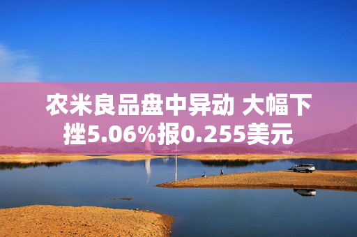 农米良品盘中异动 大幅下挫5.06%报0.255美元