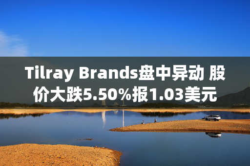 Tilray Brands盘中异动 股价大跌5.50%报1.03美元