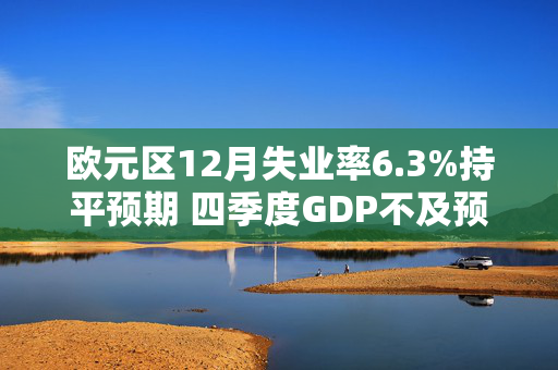 欧元区12月失业率6.3%持平预期 四季度GDP不及预期