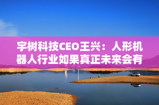 宇树科技CEO王兴：人形机器人行业如果真正未来会有卡脖子的，最可能的还是芯片领域