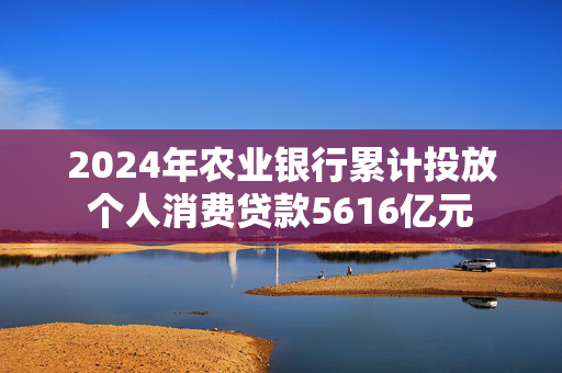 2024年农业银行累计投放个人消费贷款5616亿元