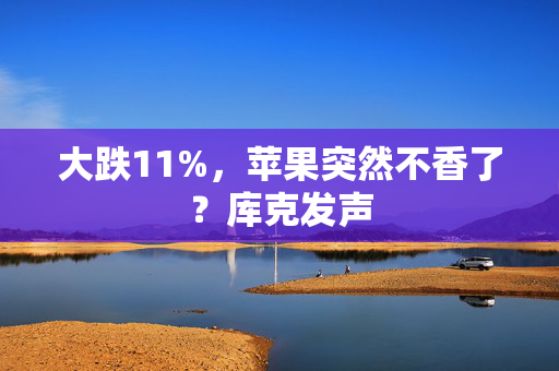 大跌11%，苹果突然不香了？库克发声