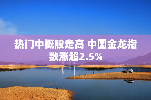 热门中概股走高 中国金龙指数涨超2.5%