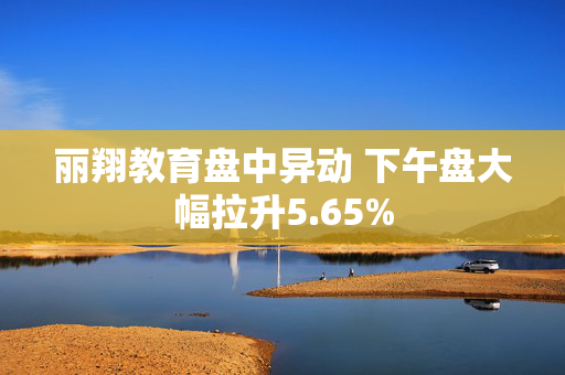 丽翔教育盘中异动 下午盘大幅拉升5.65%