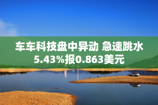 车车科技盘中异动 急速跳水5.43%报0.863美元