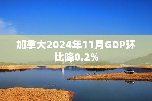 加拿大2024年11月GDP环比降0.2%