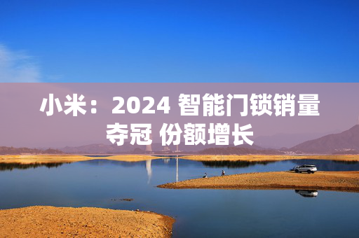 小米：2024 智能门锁销量夺冠 份额增长