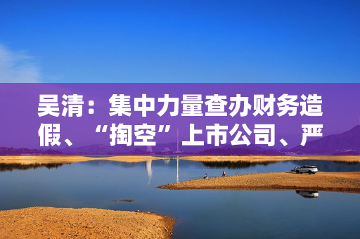 吴清：集中力量查办财务造假、“掏空”上市公司、严重操纵市场等恶性违法行为