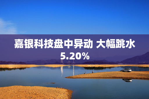 嘉银科技盘中异动 大幅跳水5.20%