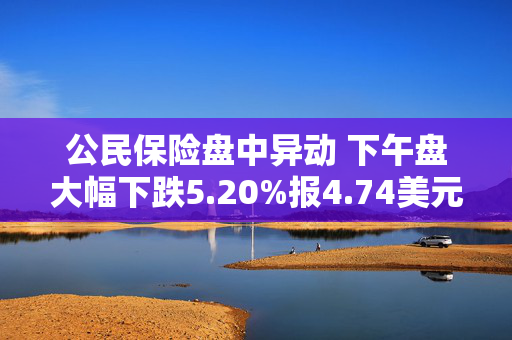 公民保险盘中异动 下午盘大幅下跌5.20%报4.74美元