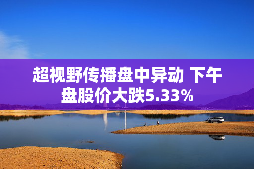 超视野传播盘中异动 下午盘股价大跌5.33%