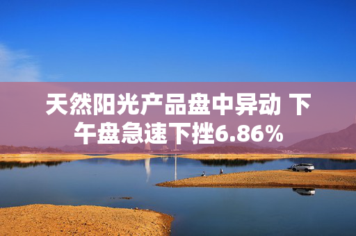 天然阳光产品盘中异动 下午盘急速下挫6.86%