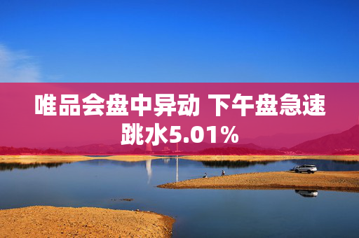 唯品会盘中异动 下午盘急速跳水5.01%