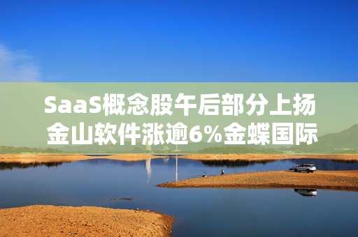 SaaS概念股午后部分上扬 金山软件涨逾6%金蝶国际涨逾3%