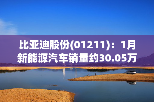 比亚迪股份(01211)：1月新能源汽车销量约30.05万辆 同比增长49.16%