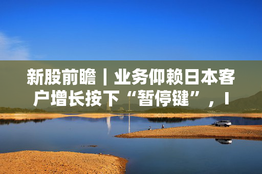 新股前瞻｜业务仰赖日本客户增长按下“暂停键”，IT“老兵”信华信有多大想象空间？