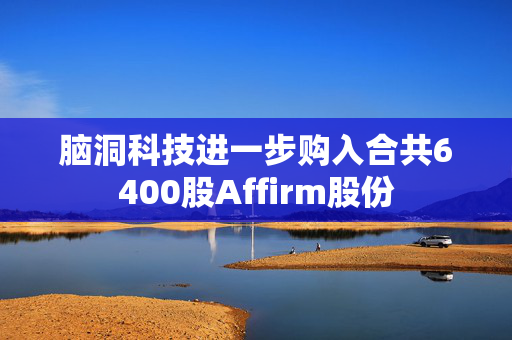 脑洞科技进一步购入合共6400股Affirm股份