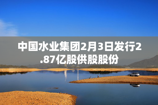 中国水业集团2月3日发行2.87亿股供股股份